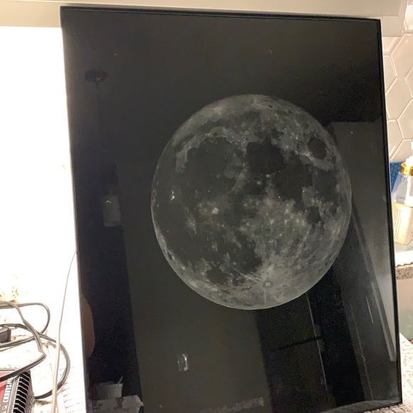 Moon Portrait - Picture 1 of 1